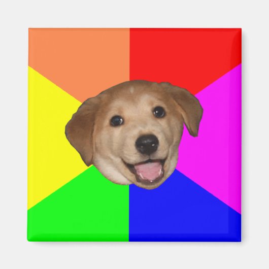 Aimant Conseil Chien (Devant)