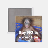 Aimant Conservation des Orangoutans (Recto/Verso)