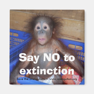 Aimant Conservation d'orang-outan