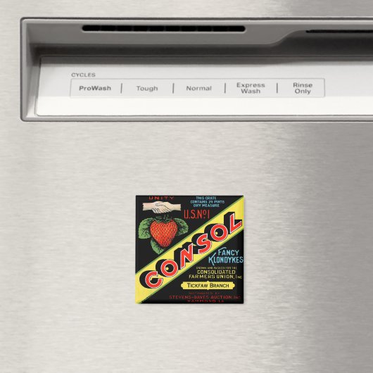 Aimant Consol Fancy Klondykes Fraises (In Situ (Lave-vaisselle))