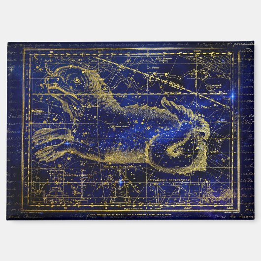 aimant constellation de la baleine (Recto)
