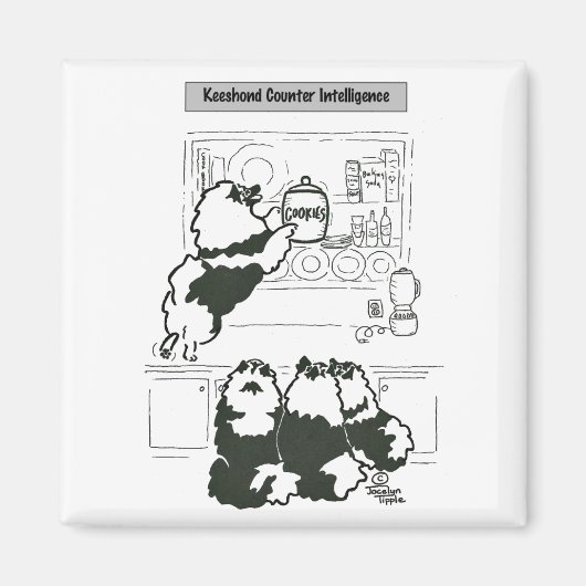 Aimant Contre-espionnage de Keeshond (Devant)