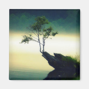 Aimant Contre toute attente - belle photographie d'arbre