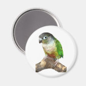 Aimant Conure verte à la joue (Recto/Verso)