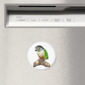 Aimant Conure verte à la joue (In Situ (Lave-vaisselle))
