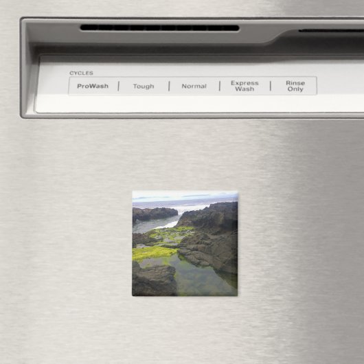 Aimant Cook's Chasm, cap Perpetua, Oregon (In Situ (Lave-vaisselle))