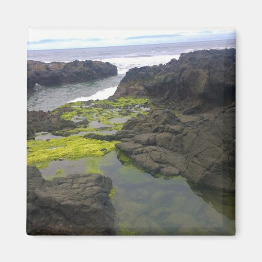 Aimant Cook's Chasm, cap Perpetua, Oregon (Devant)