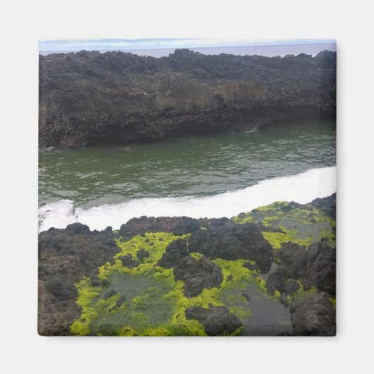 Aimant Cook's Chasm, cap Perpetua, Oregon (Devant)