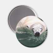 Aimant Cool Bear (Recto/Verso)
