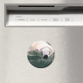 Aimant Cool Bear (In Situ (Lave-vaisselle))