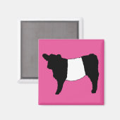 Aimant Cool Belge Galloway Cattle Rare Cow Beltie Steer (Recto/Verso)