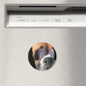 Aimant Cool Boxer dans l'aimant lunettes de soleil (In Situ (Lave-vaisselle))