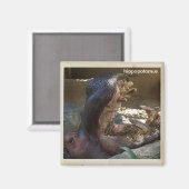 Aimant cool Hippopotamus ! (Recto/Verso)