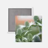 Aimant Cool Plante (Recto/Verso)