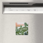 Aimant Cool Plante (In Situ (Lave-vaisselle))