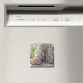 Aimant cool Sequoia ! (In Situ (Lave-vaisselle))