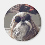 Aimant Cool Shih Tzu cheveux longs Lunettes de soleil vin (Devant)