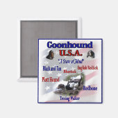 Aimant Coonhound États-Unis cadeaux (Recto/Verso)