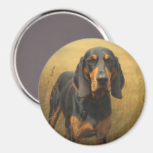 Coonhound noir et feu