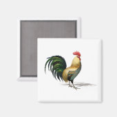 Aimant Coop de poulet (Recto/Verso)