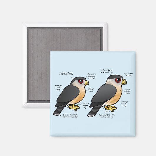 Aimant Coop v Sharpie (Recto/Verso)