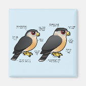 Aimant Coop v Sharpie (Devant)