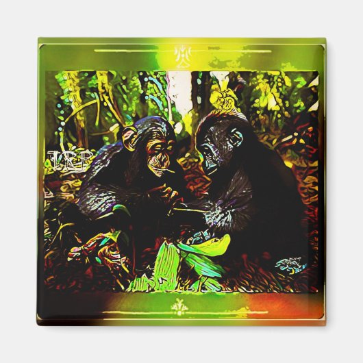 Aimant Coopération chimp et gorille 02. (Devant)