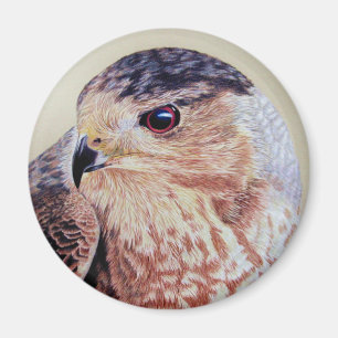 Aimant Coopers Hawk