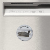 Aimant Coot américain (In Situ (Lave-vaisselle))