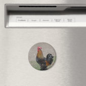 Aimant coq (In Situ (Lave-vaisselle))