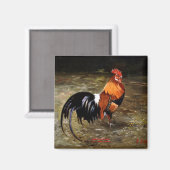 Aimant Coq (Recto/Verso)