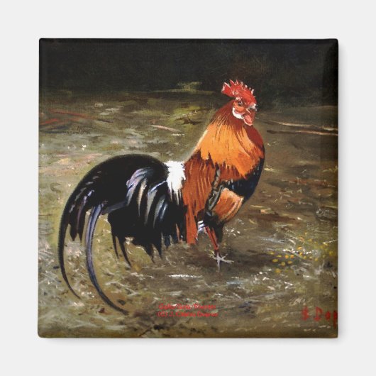 Aimant Coq (Devant)
