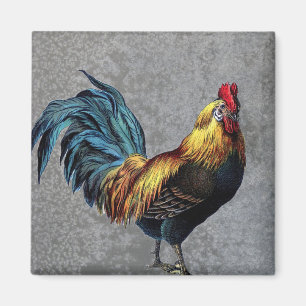Aimant Coq Bantam coloré