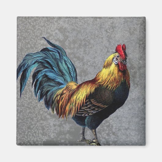 Aimant Coq Bantam coloré (Devant)