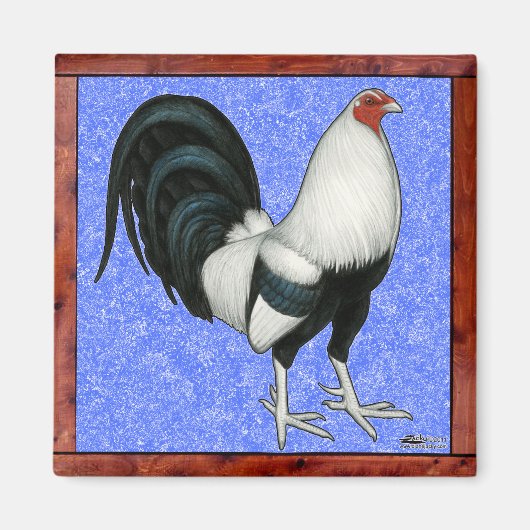 Aimant Coq de combat encadré (Devant)