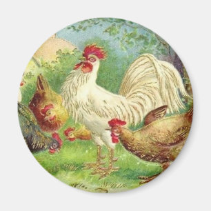 Aimant Coq de pays vintage et poulets