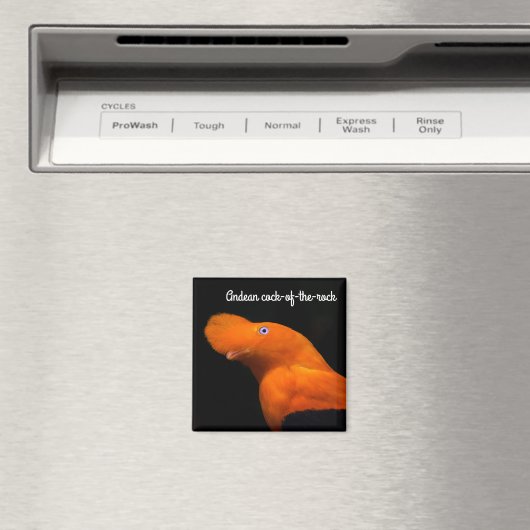 Aimant Coq de rocher andin (In Situ (Lave-vaisselle))