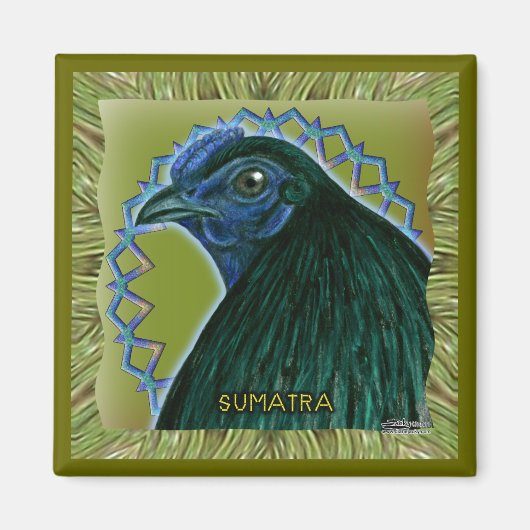 Aimant Coq de Sumatra encadré (Devant)