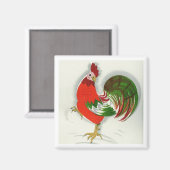 Aimant Coq folklorique #1 (Recto/Verso)