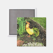 Aimant Coq jaune et vert (Recto/Verso)
