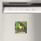 Aimant Coq jaune et vert (In Situ (Lave-vaisselle))