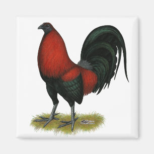 Aimant Coq Rouge Noir BB Jeu Américain