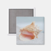 Aimant Coque conique (Recto/Verso)