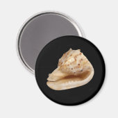 Aimant coque conique (Recto/Verso)