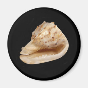 Aimant coque conique