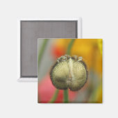 Aimant coquelicot (Recto/Verso)