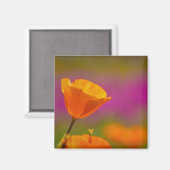 Aimant coquelicot et rose (Recto/Verso)