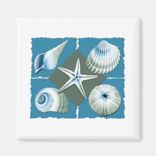 Aimant Coques de mer bleu et vert (Devant)