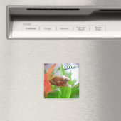 AIMANT COQUI (In Situ (Lave-vaisselle))