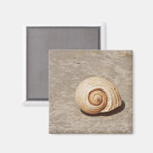 Aimant Coquillage (Recto/Verso)